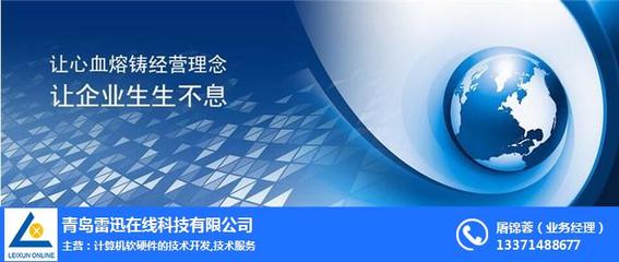 上海網(wǎng)站推廣與計算機軟硬件技術(shù)開發(fā) 雷迅在線的綜合服務(wù)策略