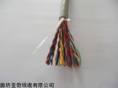 ZR-CAT25*2*0.5阻燃通信大對(duì)數(shù)電纜 廊坊亞奇線纜的專業(yè)之選